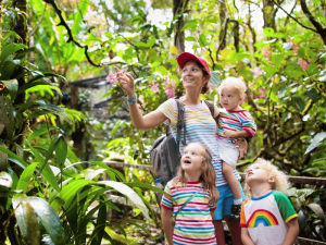 Wanderung mit Kindern im Dschungel von Costa Rica