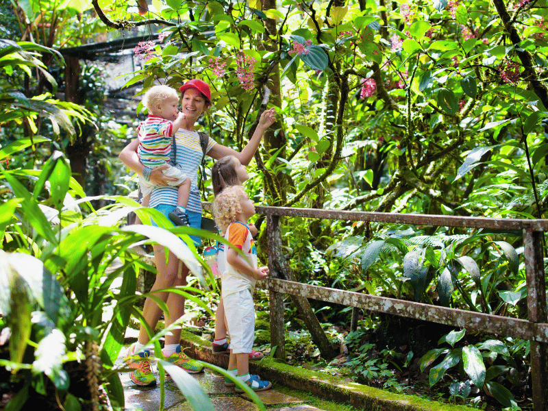Wanderung mit Kindern im Dschungel von Costa Rica