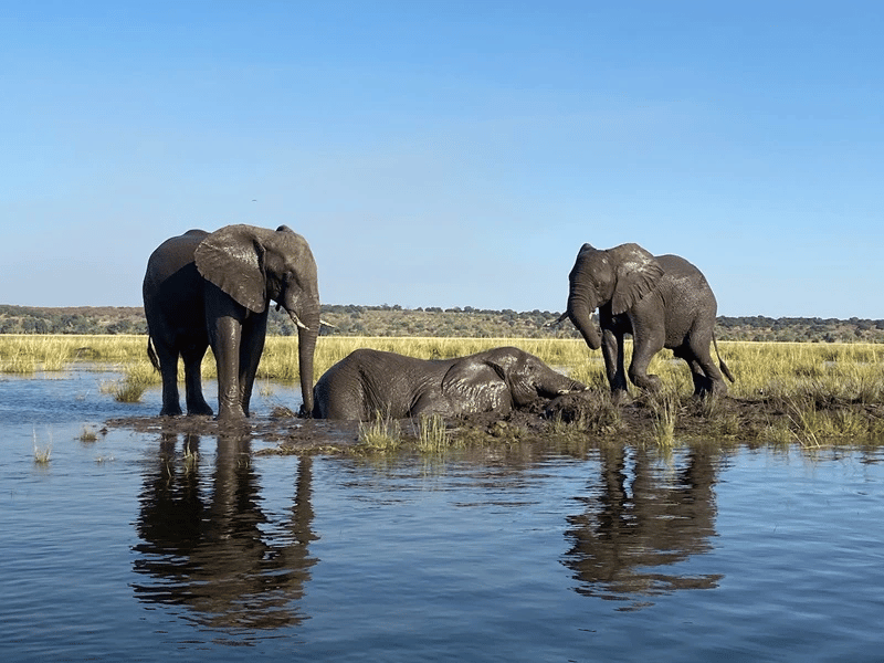Namibia Familienreise