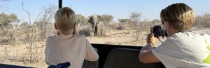 Elefantensafari in Namibia