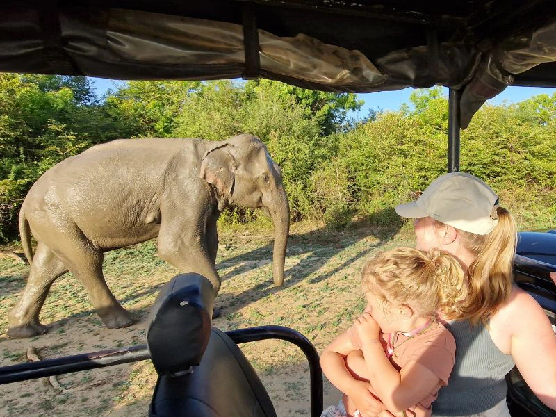 Mutter und Tochter beobachten einen Elefanten aus dem Jeep heraus