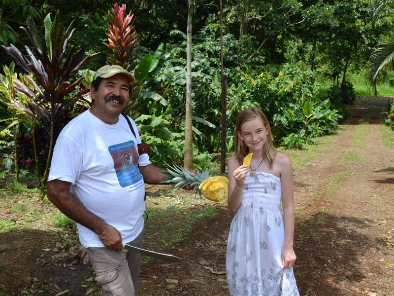 Mädchen probiert frische Ananas bei einem Ananasbauern in Costa Rica