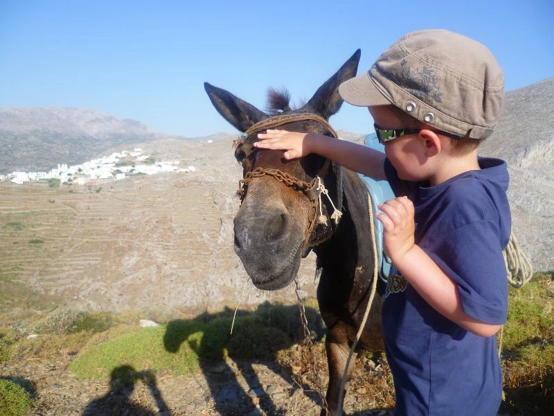 Kind streichelt Esel auf Amorgos