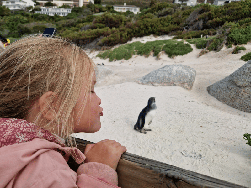 Mädchen lehnt sich über den Zaun und tut so, als würde sie den Pinguin am Strand küssen