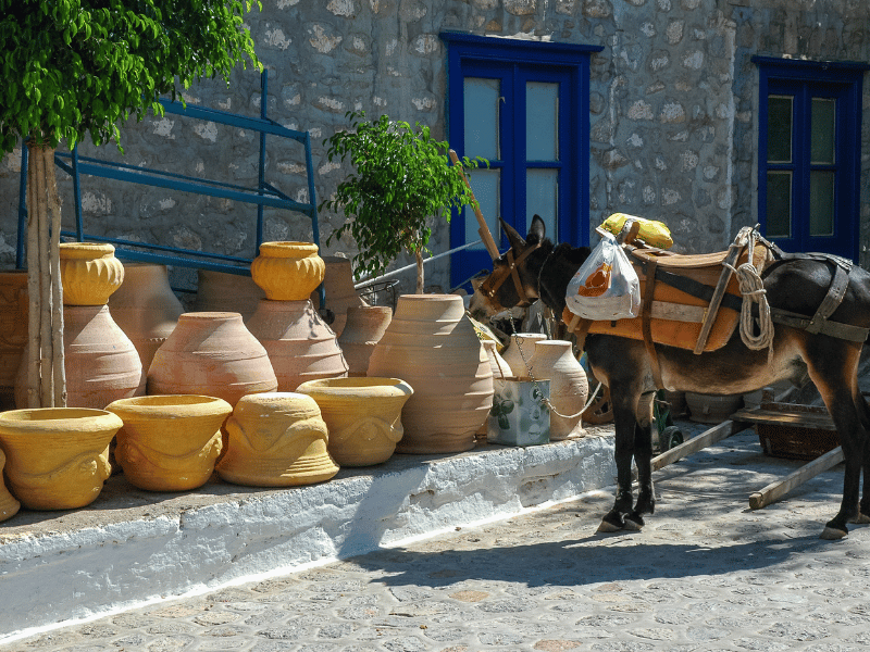 Esel auf der Insel Hydra, Griechenland