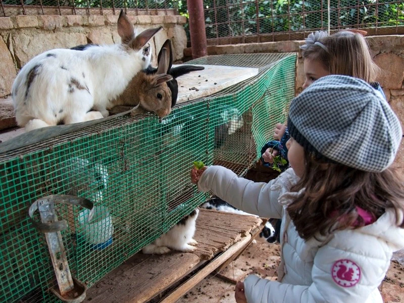 Familienreise Italien Cefalu