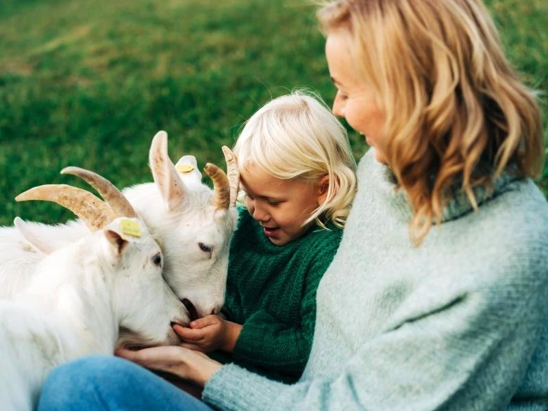 Sardinien mit Kindern: Übernachtung im Agriturismo