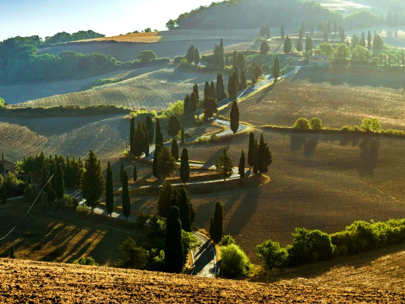 Familienreise Italien Toskana Cypressen