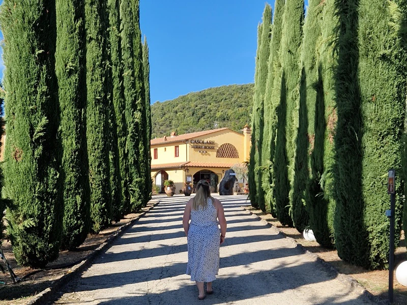 Erleberin in San Gimignano