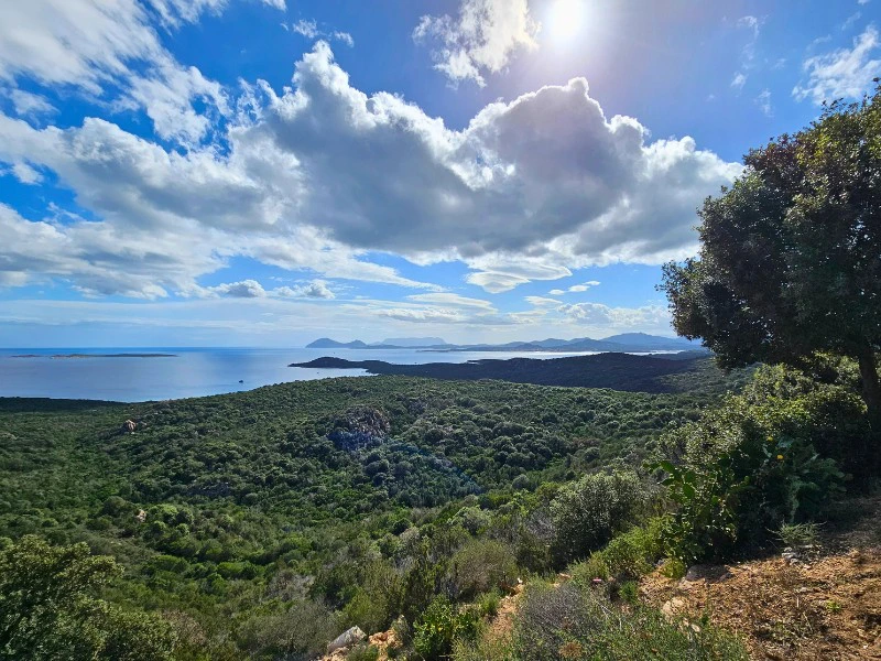 Blick über die Costa Smeralda auf Sardinien, Italien