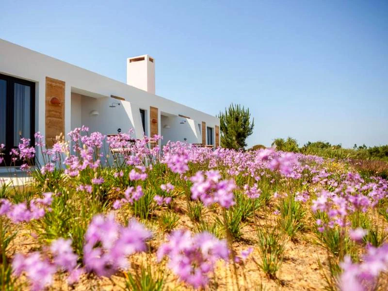 Costa Vicentina Apartment