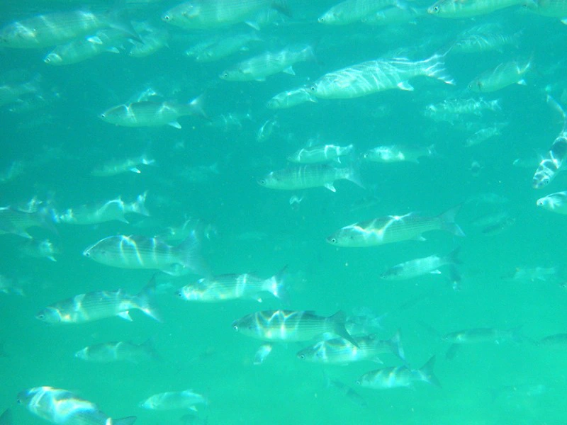 Familienreise Portugal Algarve