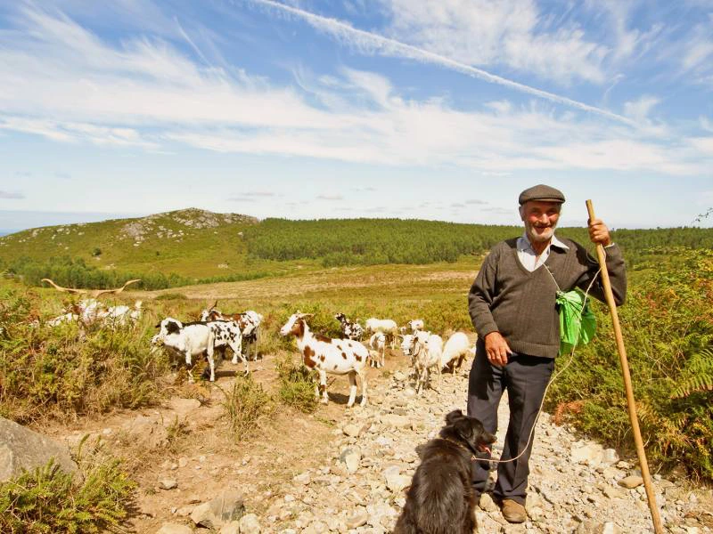 Schäfer in der Serra da Estrela