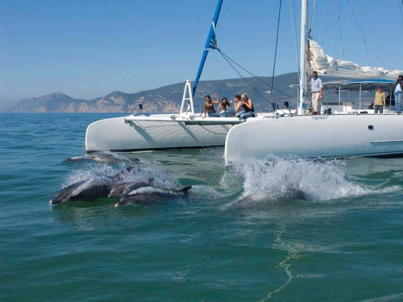 Delflintour in Setubal