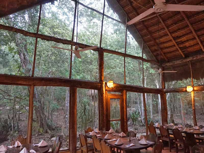 Restaurant im Hotel in Calakmul in Mexiko