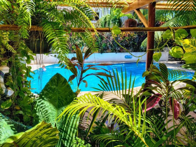 Pool und Garten in Bacalar