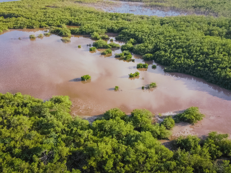 Blick auf das Naturreservat Sian Kaan von oben