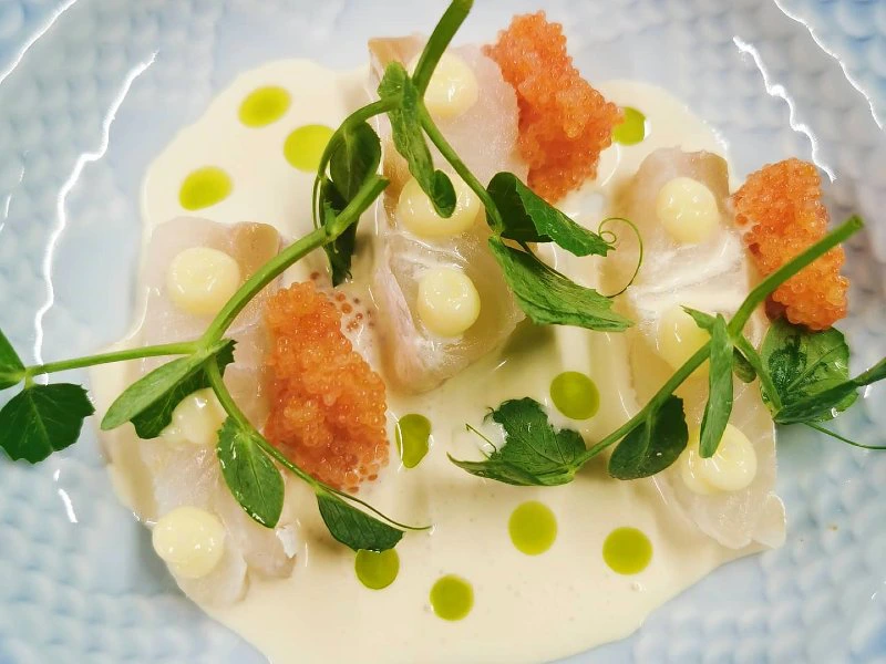 Dänemark Ribe Essen