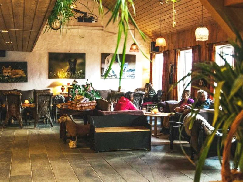 Hotelbar Dovrefjell, Norwegen