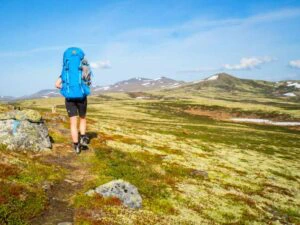 Wandern im Dovrefjell Nationalpark in Norwegen