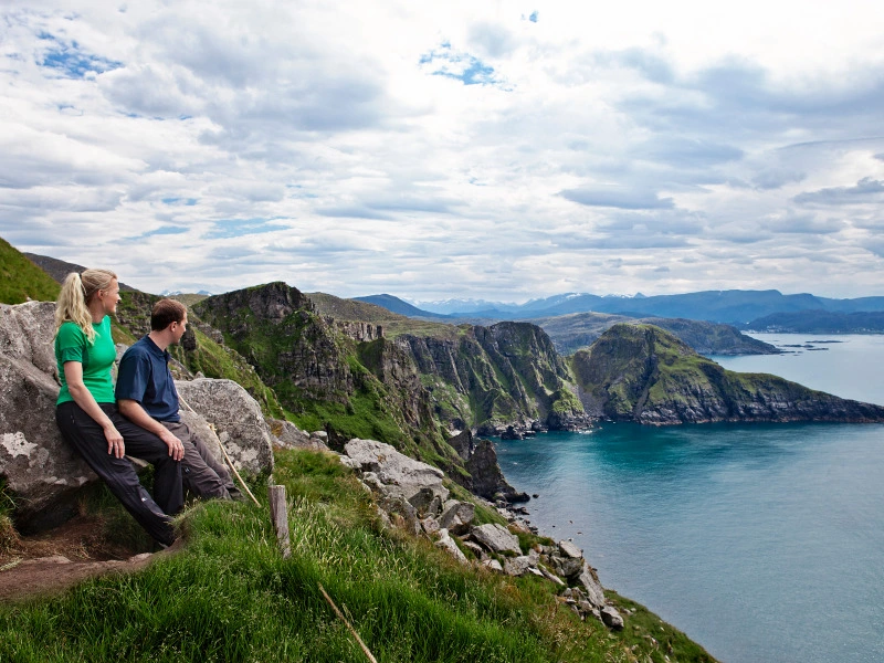 Papageientaucher am Rande der Vogelinsel. Norwegen Reisen