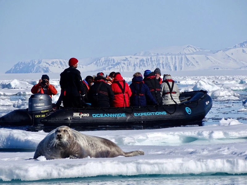 Im Zodiac zu Walrössern bei Spitzbergen in Norwegen
