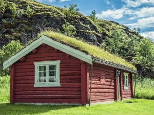 Lodge beim Dovrefjell NP
