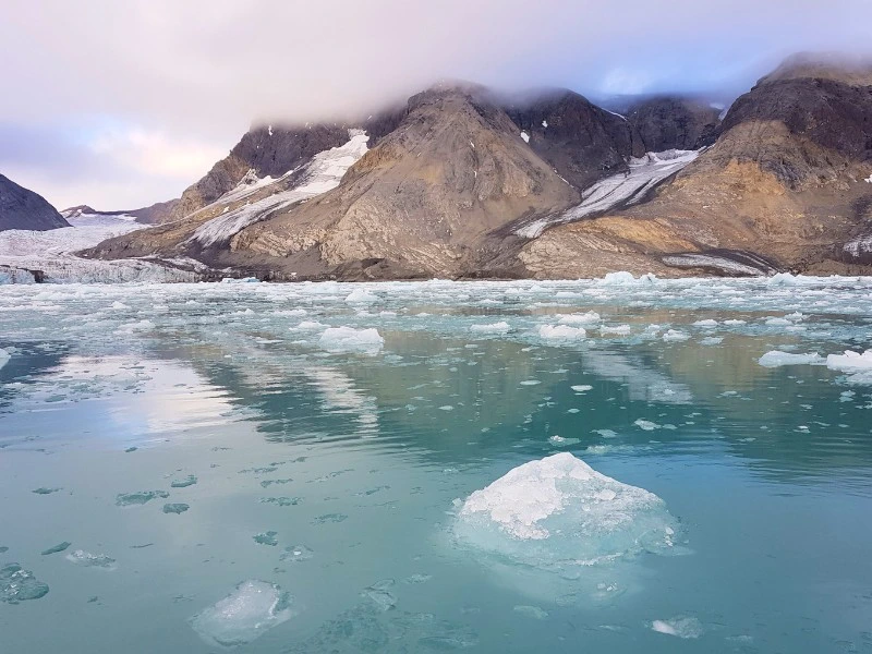 Eisschollen im Hornsund bei Spitzbergen, Norwegen