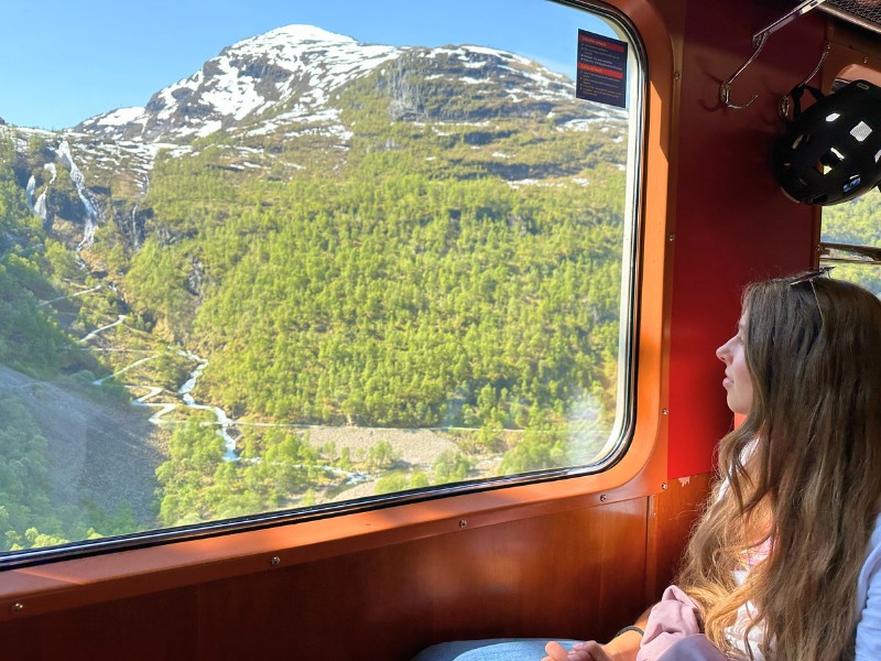 Blick aus dem Zug in Norwegen
