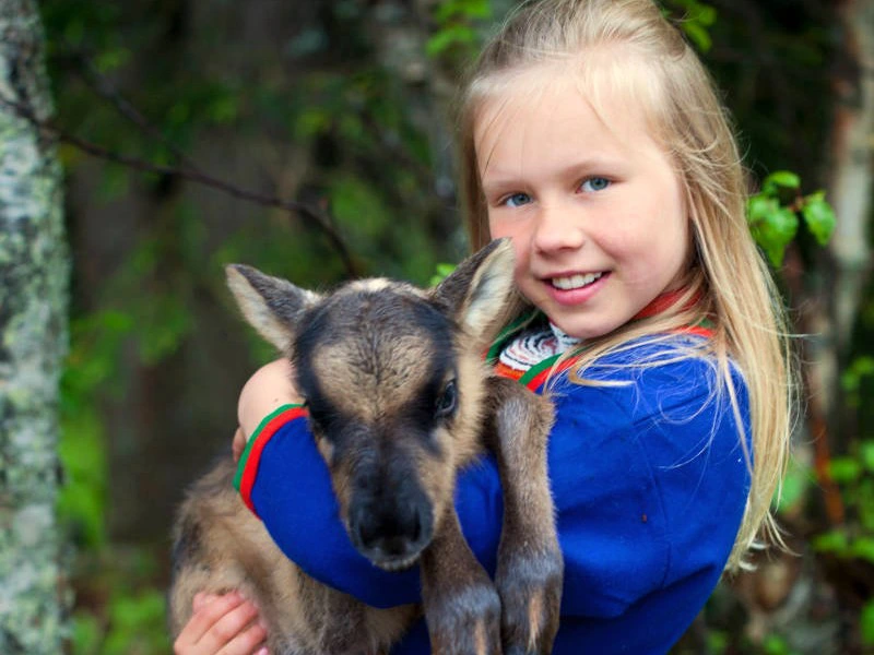 Mädchen in Sami Kleidung mit kleinem Rentier im Arm, Schweden