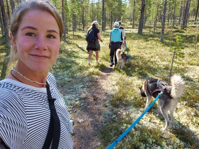 Husky Wanderung Idre - Husky an Leine