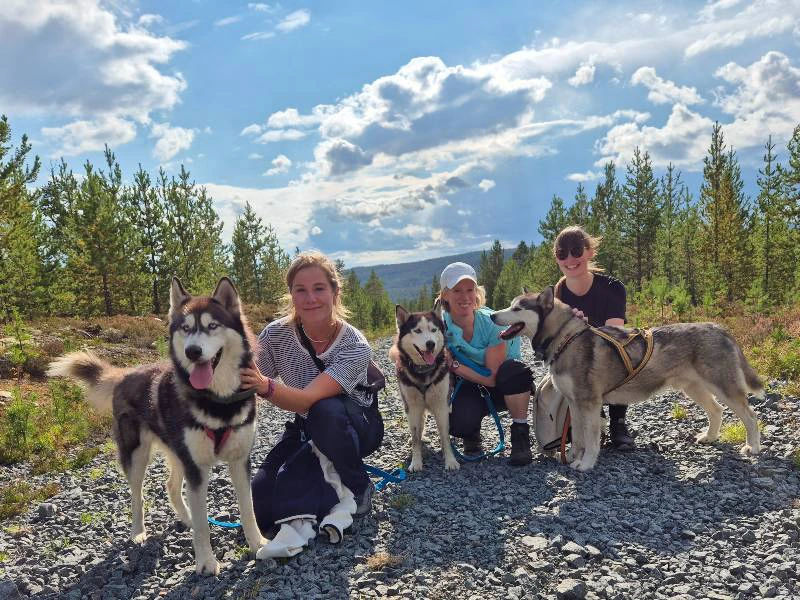 Husky Wanderung Idre