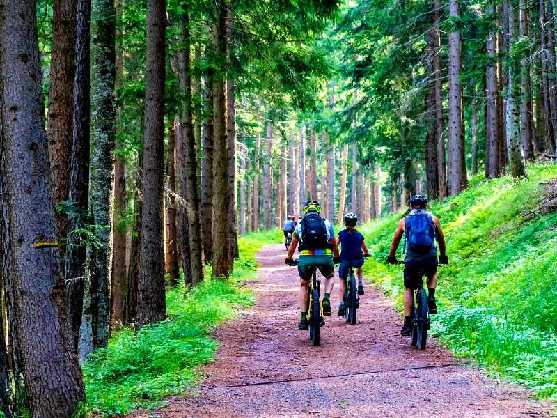 Drei Fahrradfahrer in der Natur