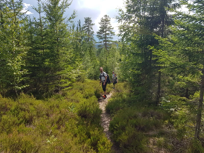 Wanderung in Schweden mit Kindern