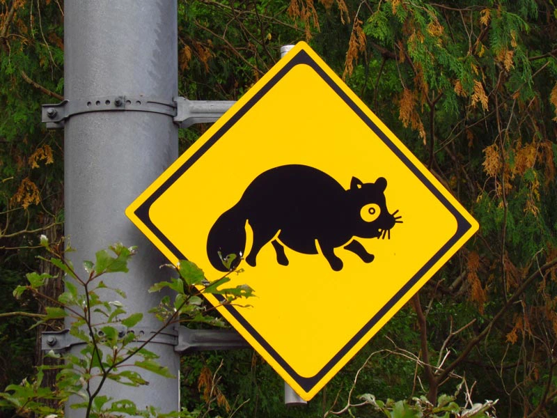 Straßenschild mit einem Tier abgebildet in der Hakone Region