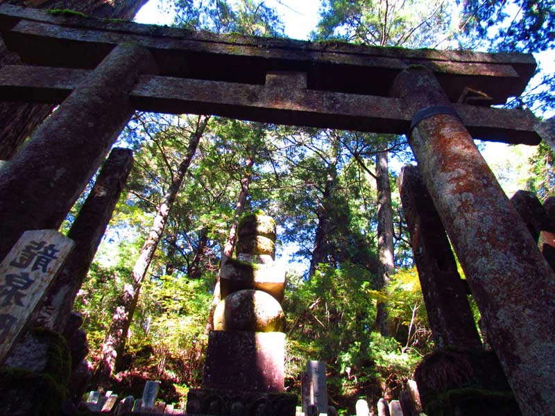 Steintorii auf dem Friedhof in Koyasan im Schatten