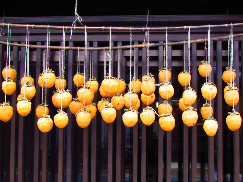 Kaki am Haus in Takayama