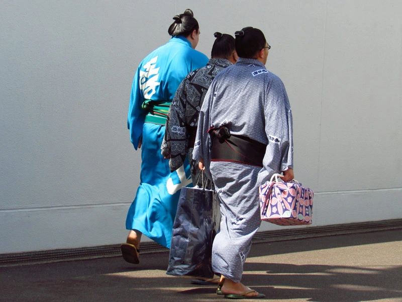 Sumo Trainer in Tokio
