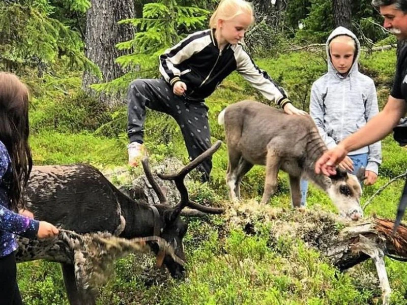 Kinder besuchen Rentiere in Schweden