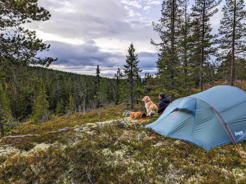 Wildcampen mitten in der Natur in Schweden