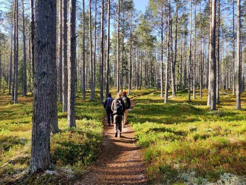 Wandern in Schweden