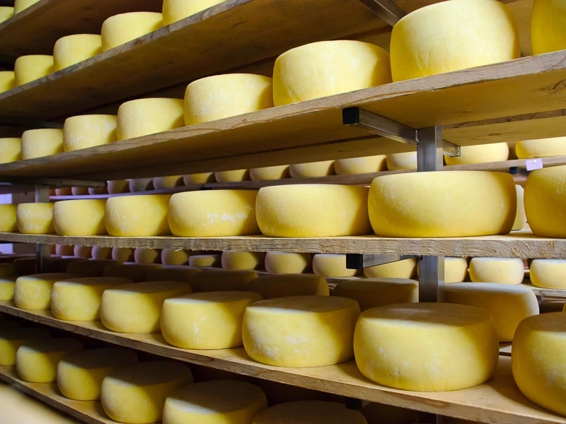 Käse im Regal auf Sao Jorge