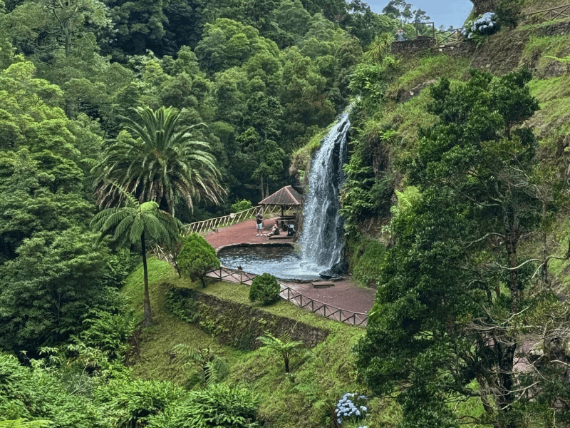 Wasserfall taucht in einen kleinen Teich, inmitten von dichter, grüner Vegetation