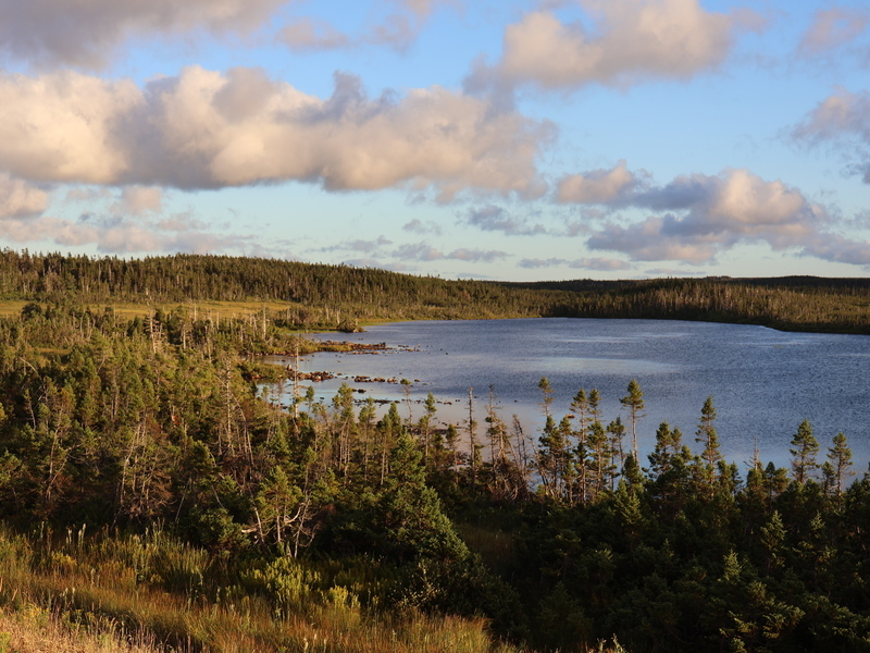 Blick vom Cabot Trail über die Landschaft in Kanada