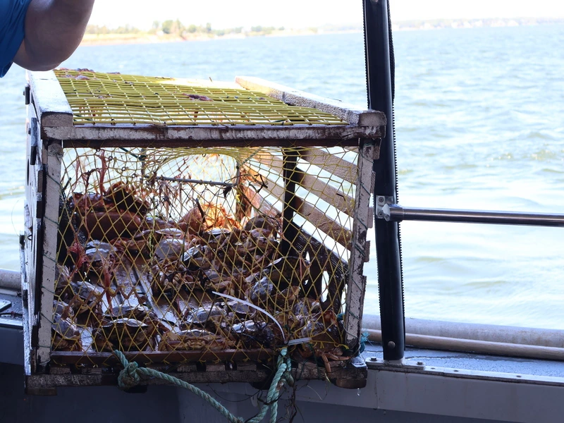 Hummertour in Charlottetown