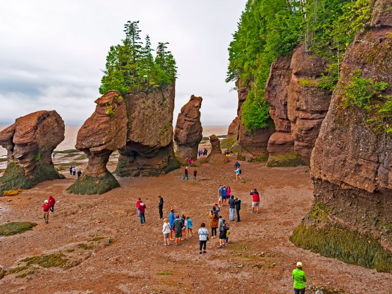 Bay of Fundy bei Ebbe