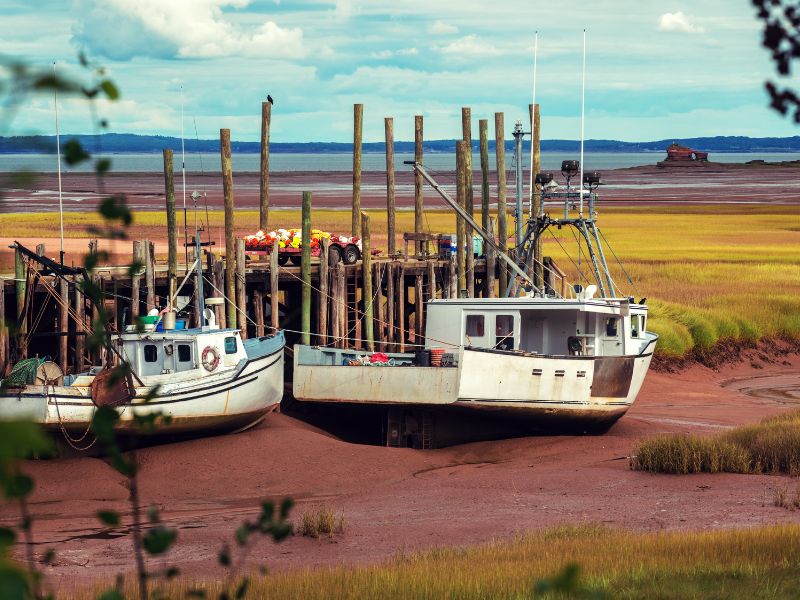 Boote an der Bay of Fundy in Kanada