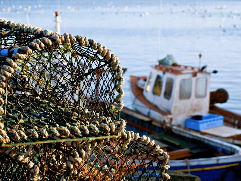 Hummer-Käfig und Boot in Shediac in Kanada
