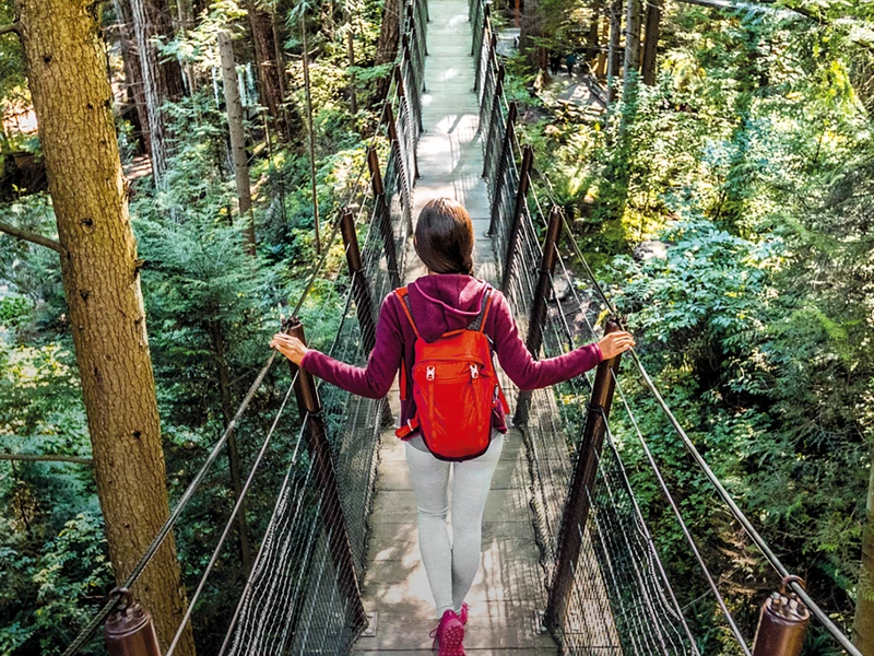 kanada reise nationalpark baumwipfelpfad