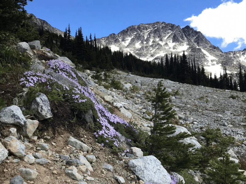 Hang bei den Whistler Bergen in Kanada